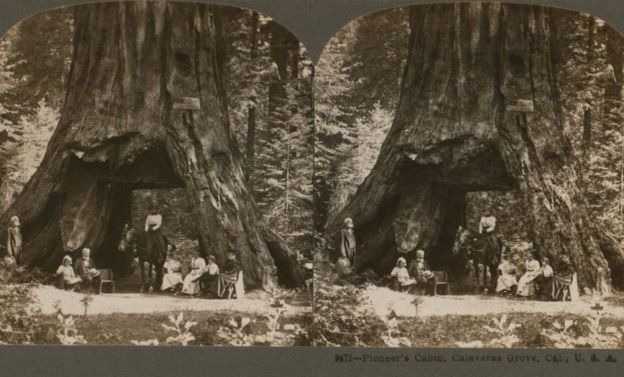 New York Public Library_1899 stereograph